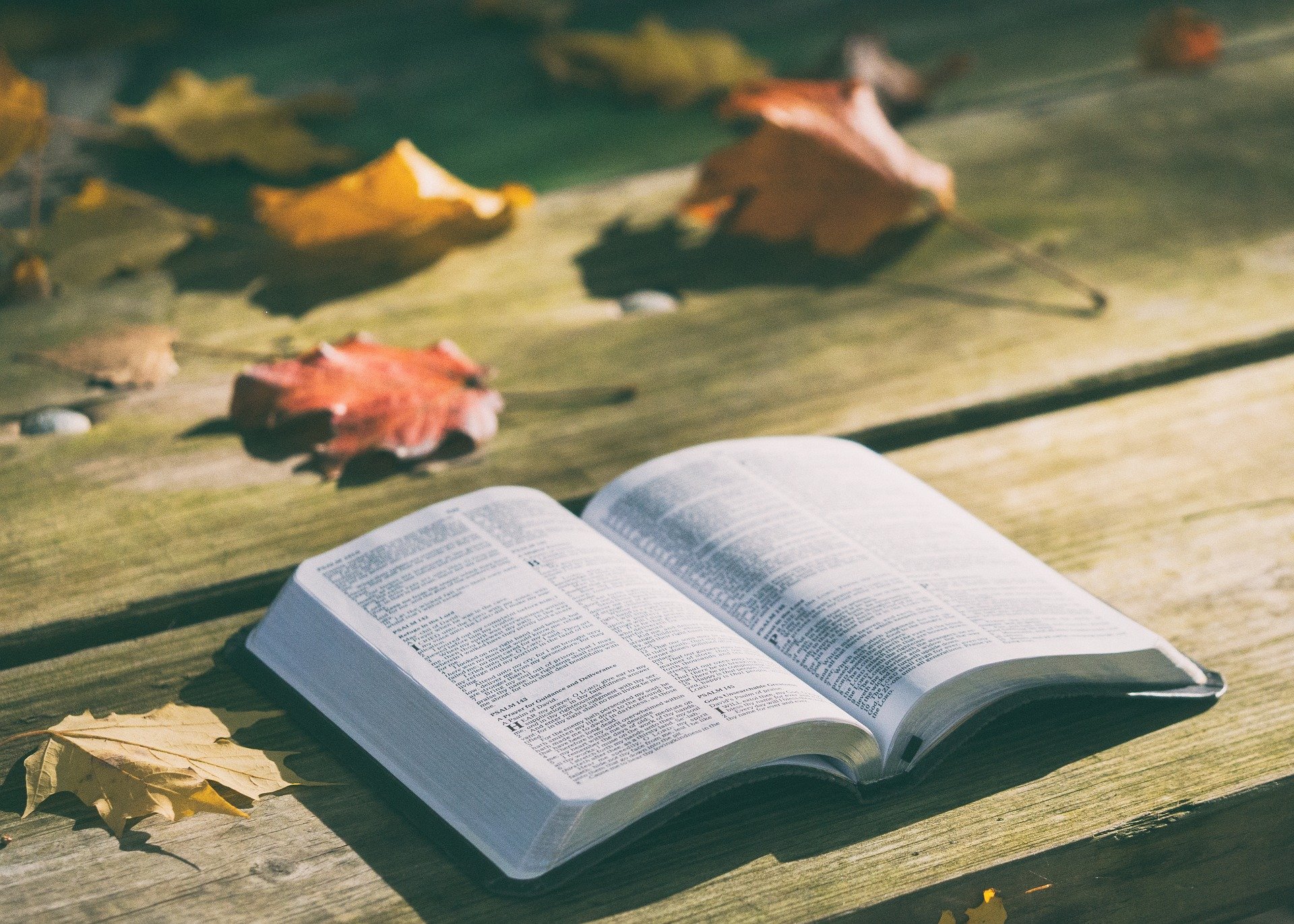 Bible ouverte